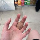 마리앤라인의원 이미지