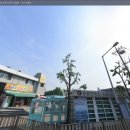 가리내로 네이버블로그