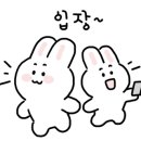 매머드익스프레스까치산역점 네이버블로그