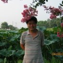 함평여관 이미지