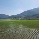 덕치우체국 이미지