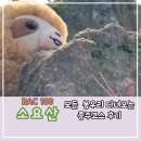 소요산 종주 등산 코스 후기 - 이번엔 정상 다녀왔어요 (Feat. 대중교통 안내)