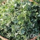 (주)공푸드 이미지