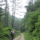 응아지 나루 이미지