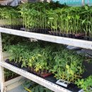 새한마트 이미지