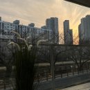빠 커피 이미지