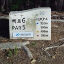 김해 골프샵 한여름 밤의 티샷 초록 위에 내려앉은 밤공기용원CC의 완벽한 밤(백로코스)