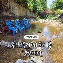 [용인] 묵리 하울계곡 평상대여 내돈내산 방문후기, 가격부터 이용팁까지