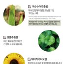 맘뜨레 네이버블로그