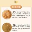 주미광고 | [광고] 붓기 빠지는 차 : 원차 기류차, 붓기 삭제템...픽 '원차 기류차' 솔직후기 🍵 (미세플라스틱 ZERO)