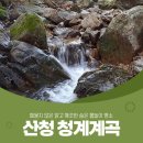 2023년 8월9일(수요일) 경남산청(청계 계곡) 계곡산행 이미지