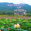 교동 연꽃마을 펜션 이미지