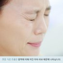 가로주름