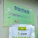 춘천지역먹거리통합지원센터 | [농업 연습생 일기] 2025.06.16. / 춘천 먹거리 통합지원센터, 아스파라거스 농장, 사과농장 방문