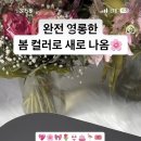 주식회사 견생상점 이미지