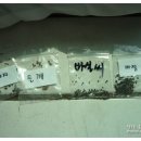 토룡농장 | 콩심은데 콩나는게 아니네요~ ㅋㅋ