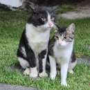 감성풀풀 | 대구근교 성주 촌캉스 숙소 "감성풀풀" 내돈내산 솔직후기