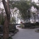 서호민박 이미지