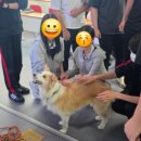 삼육고등학교 웹이코노미