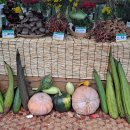 이병준농장 이미지