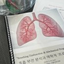 이경숙강사 | 필라테스 우리는 정말 제대로 호흡하고 있을까요? | 호흡 부전 분석과 역학적 '프로그래밍' 교육 후기