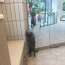 리봄동물의료센터 이미지