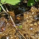 양지바른공인중개사사무소 이미지