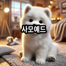 강인종합관리 이미지