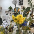 김밥반상회 | 일상 (2)