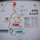 10월 28일 토요당일 - 원대리 자작나무 명품 숲 단풍 트레킹 안내 - 신청하기 이미지