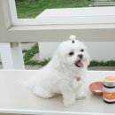 제인헬스케어 이미지