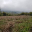 낙동면 비룡리 이미지