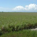 갯벌이야기 이미지