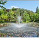 경상남도 수목원 이미지