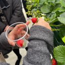 서울특별시송파구치매안심센터 이미지