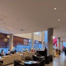 (주)화순컨트리클럽 | 용인 기흥 수원cc 수원컨트리클럽 벚꽃 기흥역 벚꽃명소 드라이브