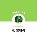 4. 생태계 이미지