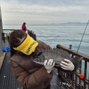 가덕도 '감성돔' 좌대 낚시 이미지
