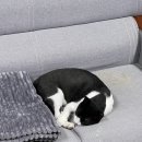 굽네치킨 사창사직2점 이미지