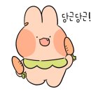 예스환경 이미지