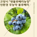 썬블루 이미지