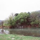 태고정(아래) 이미지