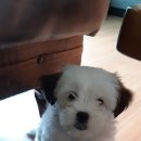 잔다리농장 이미지