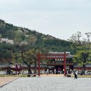 진미대왕통닭