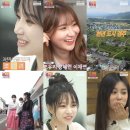 라이브여행사 - 서대문구 신촌로 211 | 라이브여행사