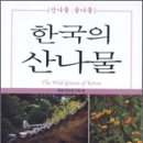 한국의 산나물---작은 책이라 합니다. 이미지
