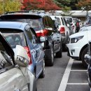 사람들과 자동차 이미지