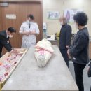 엄숙한가족들