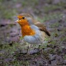 강동구청역 이미지