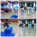 무궁화태권도체육관 이미지